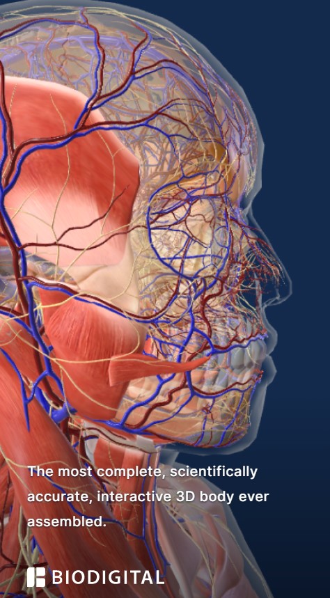 Bio Digital Human Bio Digital Human