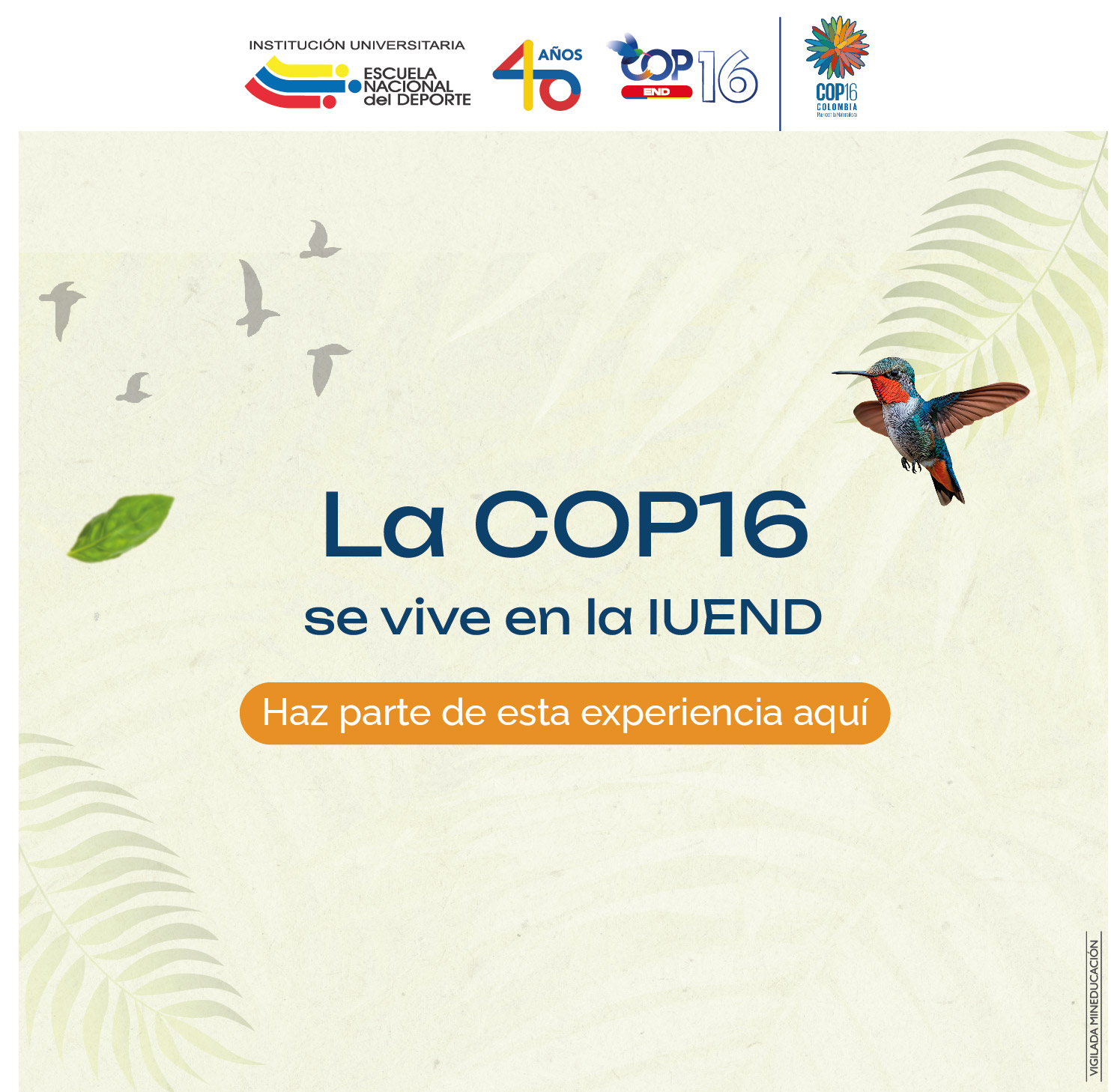 Clic aquí la COP16