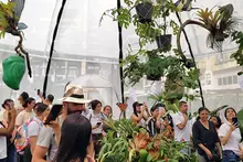 Facultad de Ciencias Económicas y de la Administración estuvo presente en la Zona Verde COP16”