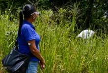 Reunión de Avance del Proyecto Multicampus TTU Universidad de Oriente en la IUEND