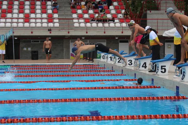 Los principios del entrenamiento deportivo y su aplicaci&oacute;n en diferentes deportes