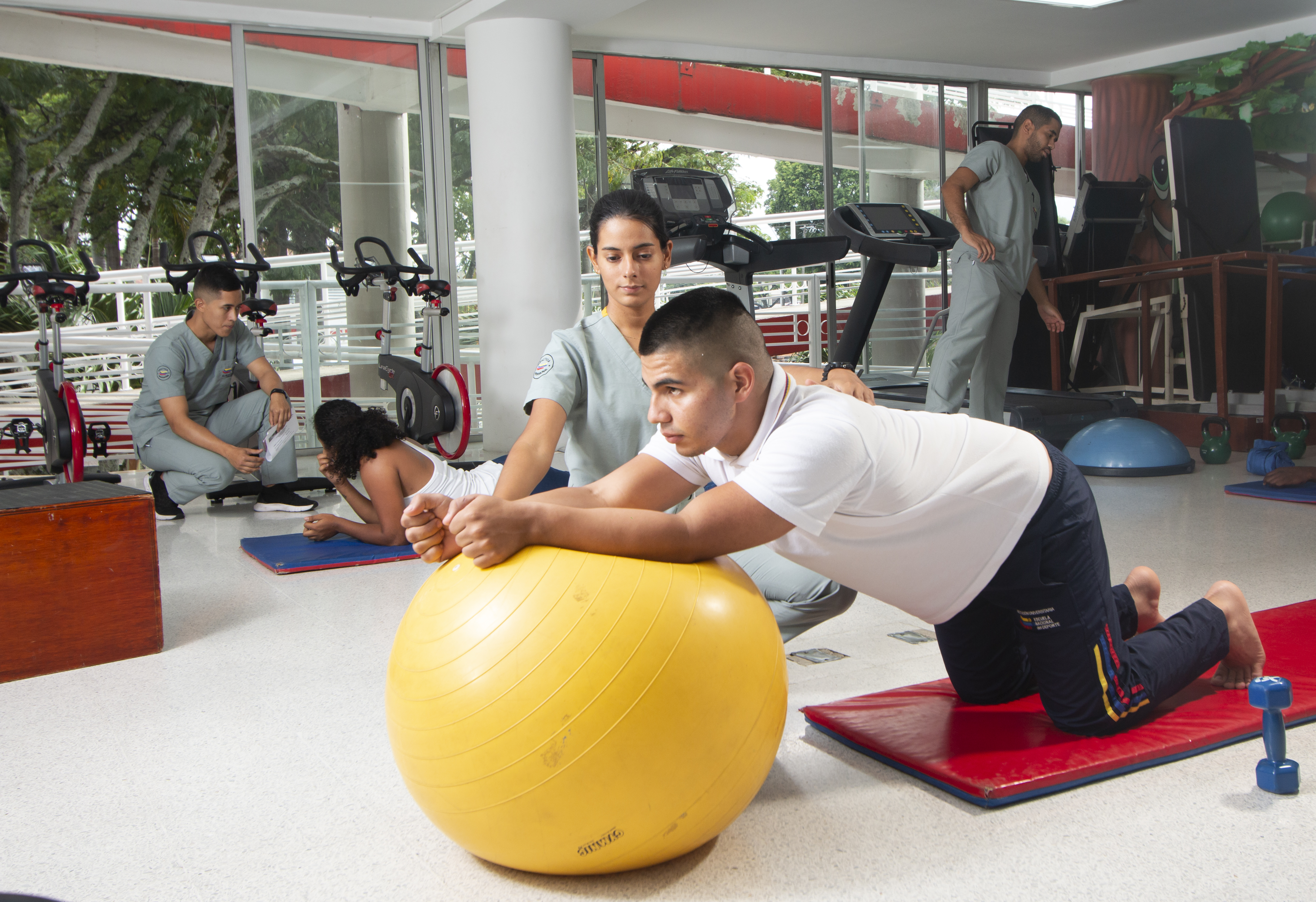 TERAPIA OCUPACIONAL TERAPIA OCUPACIONAL